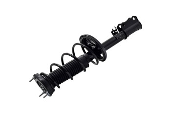 Suspension Strut and Coil Spring Assembly