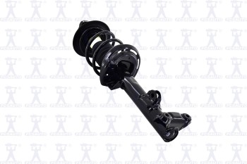 Suspension Strut and Coil Spring Assembly
