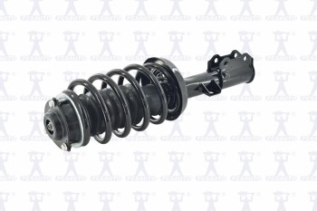 Suspension Strut and Coil Spring Assembly
