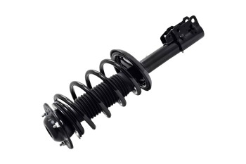 Suspension Strut and Coil Spring Assembly