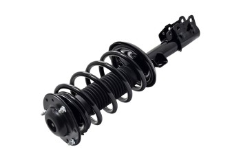 Suspension Strut and Coil Spring Assembly