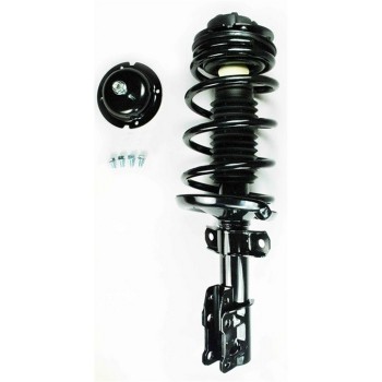 Suspension Strut and Coil Spring Assembly