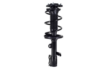 Suspension Strut and Coil Spring Assembly