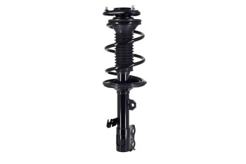 Suspension Strut and Coil Spring Assembly