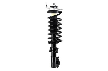 Suspension Strut and Coil Spring Assembly