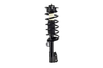 Suspension Strut and Coil Spring Assembly
