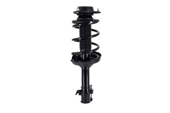 Suspension Strut and Coil Spring Assembly