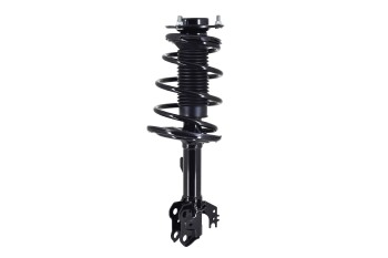 Suspension Strut and Coil Spring Assembly