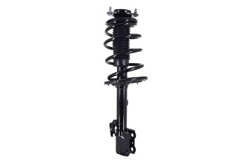 Suspension Strut and Coil Spring Assembly