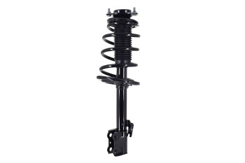 Suspension Strut and Coil Spring Assembly