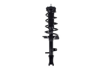 Suspension Strut and Coil Spring Assembly