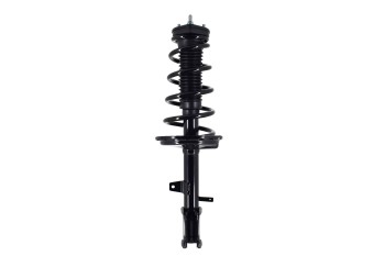 Suspension Strut and Coil Spring Assembly