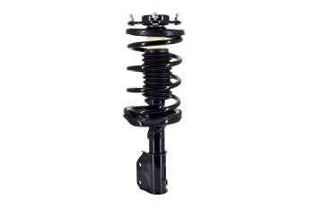 Suspension Strut and Coil Spring Assembly
