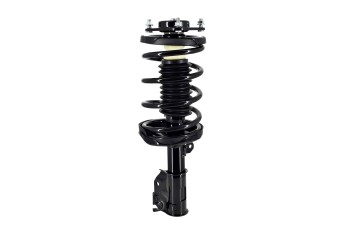 Suspension Strut and Coil Spring Assembly