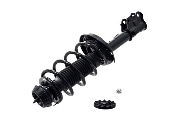 Suspension Strut and Coil Spring Assembly