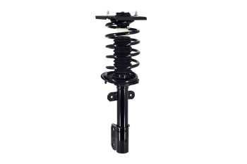 Suspension Strut and Coil Spring Assembly