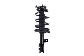 Suspension Strut and Coil Spring Assembly