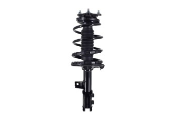 Suspension Strut and Coil Spring Assembly