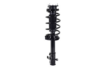 Suspension Strut and Coil Spring Assembly