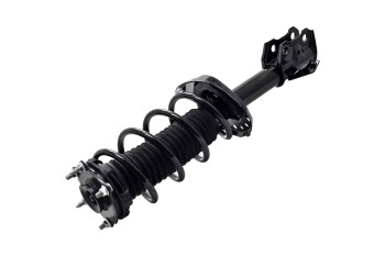 Suspension Strut and Coil Spring Assembly