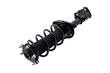 Suspension Strut and Coil Spring Assembly