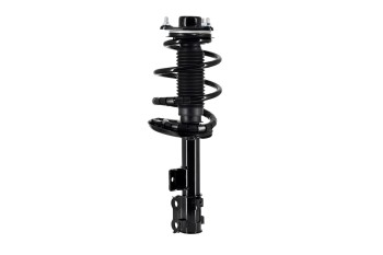 Suspension Strut and Coil Spring Assembly
