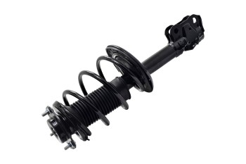 Suspension Strut and Coil Spring Assembly