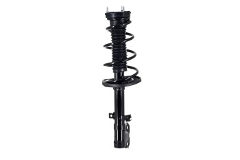 Suspension Strut and Coil Spring Assembly