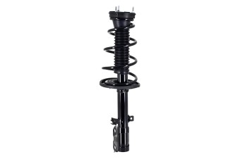 Suspension Strut and Coil Spring Assembly
