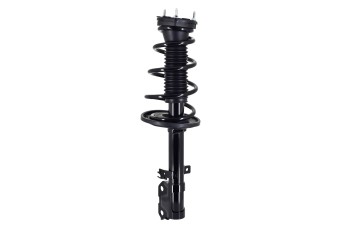 Suspension Strut and Coil Spring Assembly