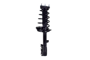 Suspension Strut and Coil Spring Assembly