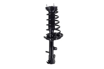 Suspension Strut and Coil Spring Assembly