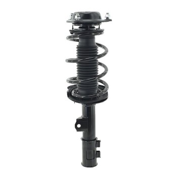 Suspension Strut and Coil Spring Assembly