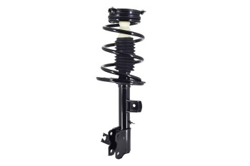 Suspension Strut and Coil Spring Assembly