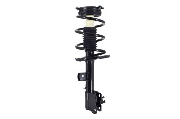 Suspension Strut and Coil Spring Assembly