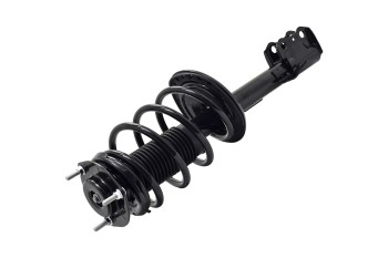 Suspension Strut and Coil Spring Assembly