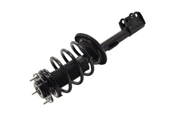 Suspension Strut and Coil Spring Assembly