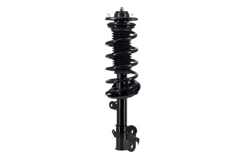 Suspension Strut and Coil Spring Assembly