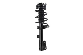 Suspension Strut and Coil Spring Assembly