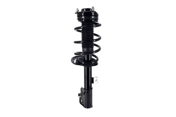 Suspension Strut and Coil Spring Assembly