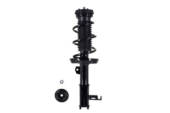 Suspension Strut and Coil Spring Assembly