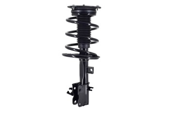 Suspension Strut and Coil Spring Assembly