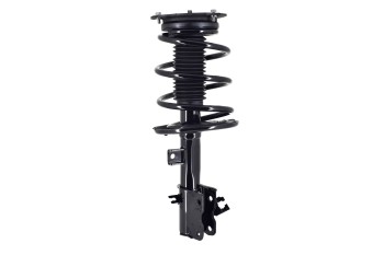 Suspension Strut and Coil Spring Assembly