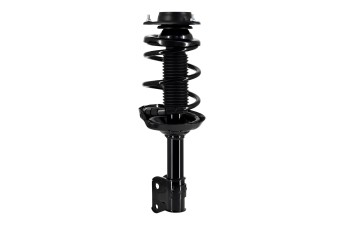 Suspension Strut and Coil Spring Assembly
