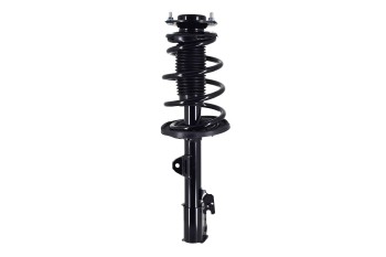 Suspension Strut and Coil Spring Assembly
