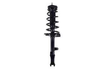 Suspension Strut and Coil Spring Assembly