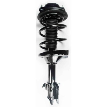 Suspension Strut and Coil Spring Assembly
