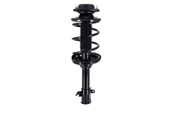 Suspension Strut and Coil Spring Assembly