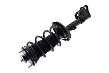Suspension Strut and Coil Spring Assembly
