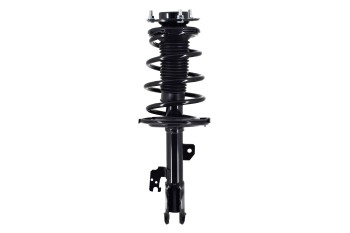 Suspension Strut and Coil Spring Assembly